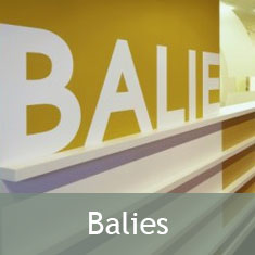 sjabloon-project-categorie